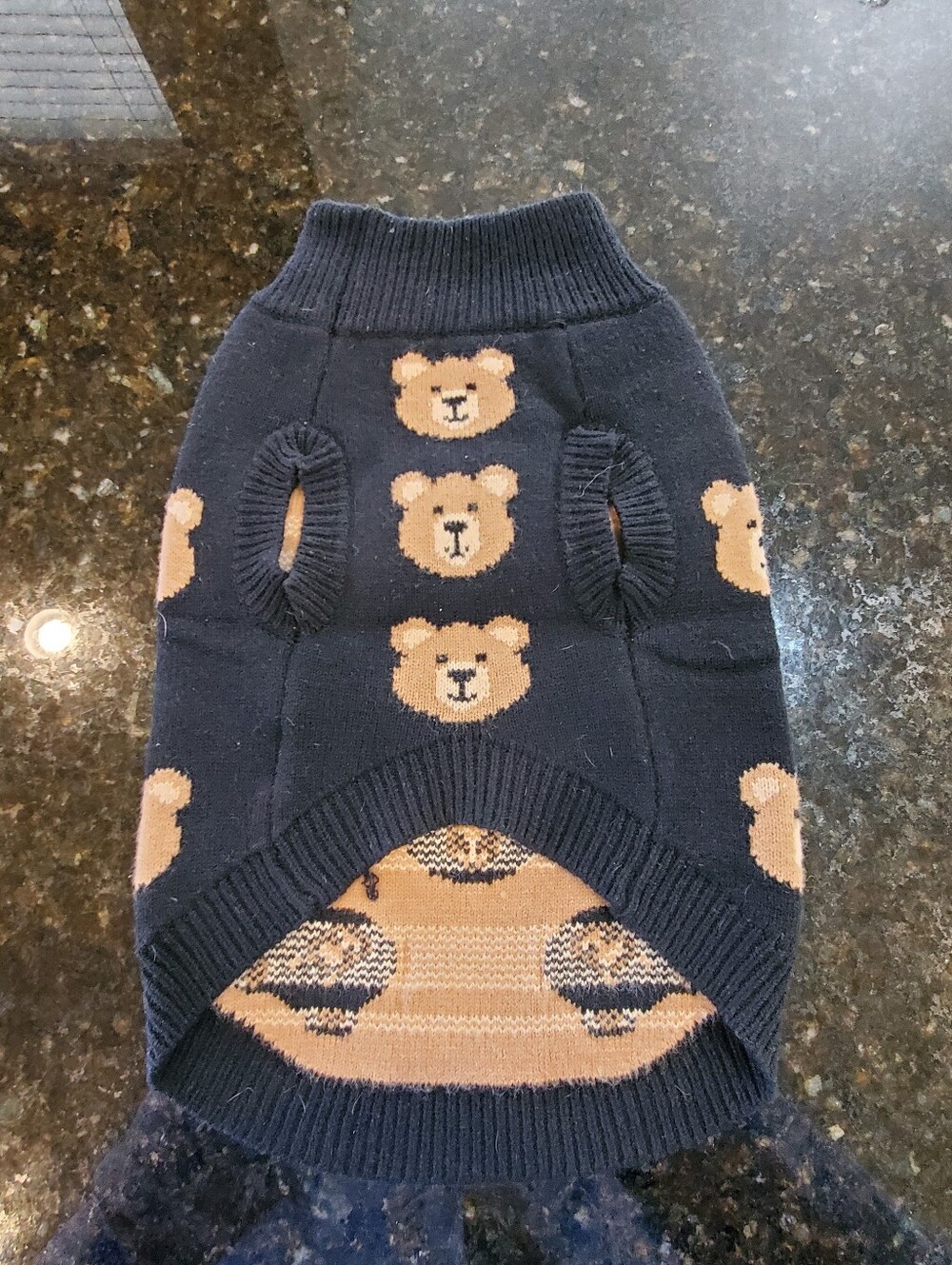Spark Paws - Picture 2 of 7